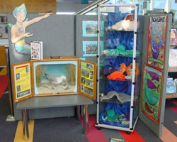 Seaweek display