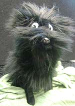 Hairy Maclary