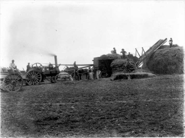 Men working the threshing mill on the Moderate farm, Bennetts district, Canterbury