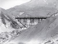 The Sloven's Creek viaduct, near Broken River on the Midland Railway through Arthur's Pass [ca. 1890]