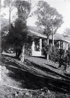 Sign of the Bellbird - click for enlargement