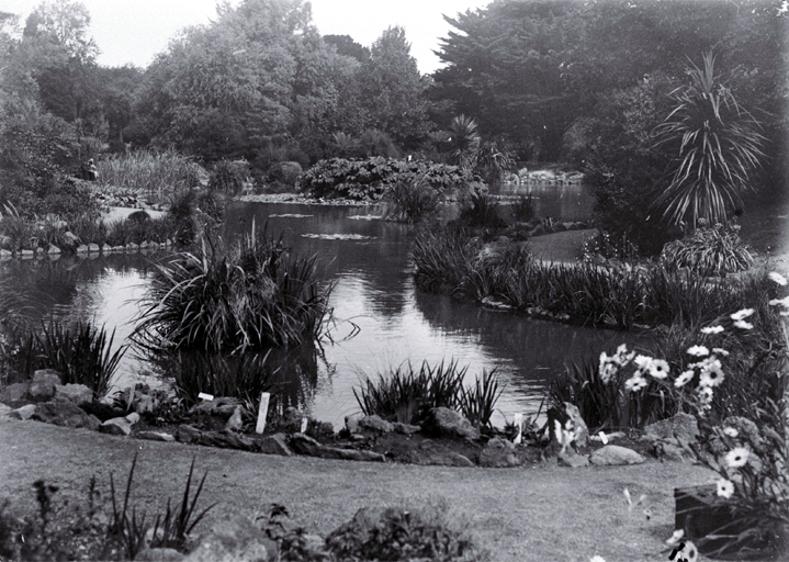 Lily pond in the Christchurch Botanic Gardens 