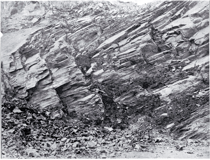 Cliff face at Halswell Quarry 