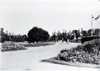 Families strolling in the Temuka Domain on Domain Avenue [193-?]
