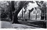Rolleston Avenue : with Canterbury University College on the right. 195?