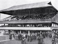 Addington Raceway stewards' stand, New Zealand Metropolitan Trotting Club's August meeting - 1915