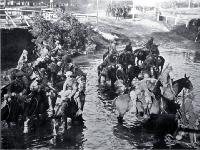 Troops watering horses in the Avon River near Carlton Bridge, Christchurch [23 Sept. 1914]