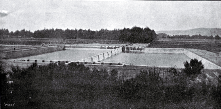 General view of the Christchurch Drainage Board's septic tank on the sewage farm, Bromley, Christchurch 