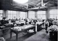There was a demand for the wool classing classes provided by the Christchurch Technical College 