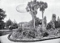 Christchurch Domain : a portion of the garden. c1906