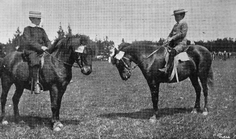 Mr P. D. Boag's first prize pony, Peter the Great and Master Harry Muir's second prize pony, Pearl.