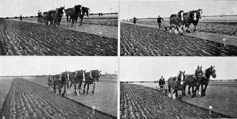 The Ellesmere A. and P. Association’s annual ploughing match at Doyleston, Canterbury.