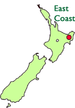 East Coast