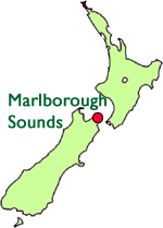 Marlborough Sounds