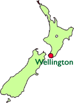 Wellington NZ map