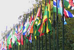 Flags