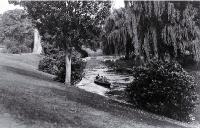 Schoolboys rowing along the Avon River where it flows through the Botanic Gardens 