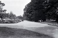 People strolling along the lane that leads from the Robert McDougall Art Gallery in the Christchurch Botanic Gardens 