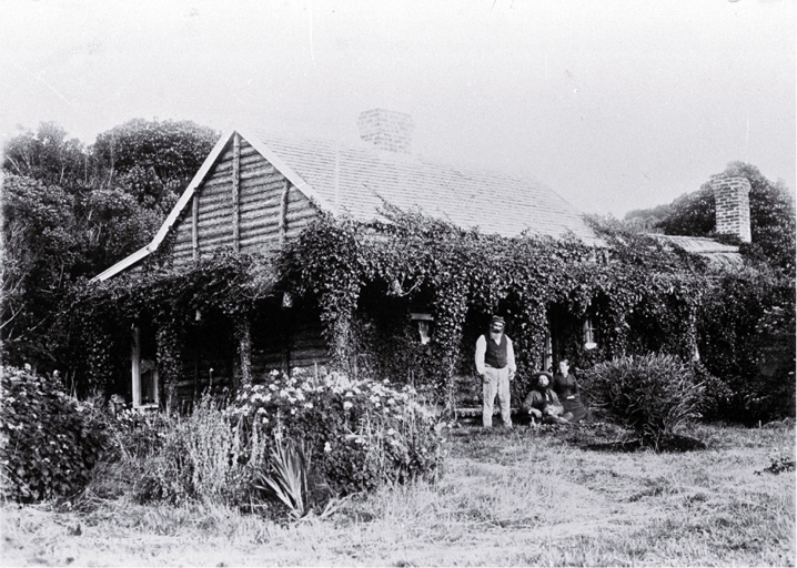 Punga or tree-fern house used by the Maori and Moriori of the Chatham Islands 