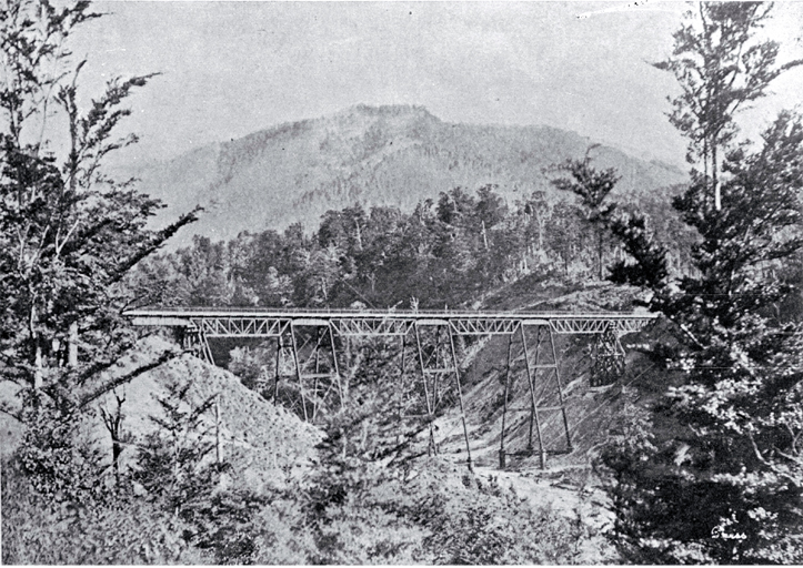Patterson's Stream bridge 