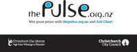 the pulse flyer