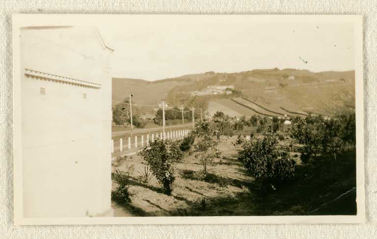 Image of To show you the garden of shrubs & trees planted [1913-1933]