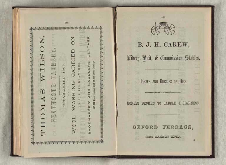 Image of Christchurch and suburban directory for 1879 : comprising an alphabetical, trades and street directory for Christchurch, also an alphabetical list of inhabitants in the suburbs 1879