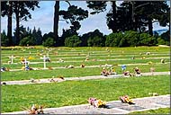 Photo of Ruru lawn cemetery