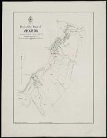 Image of Plan of the town of Akaroa