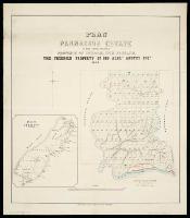 Image of Plan of the Parnassus Estate in the Amuri District, Province of Nelson, New Zealand
