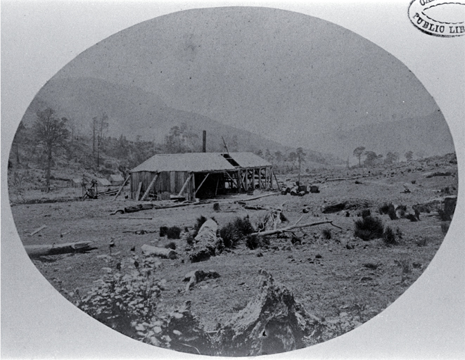 The saw mill of George Holmes, a contractor for Lyttelton Tunnel, at Pigeon Bay, Banks Peninsula 