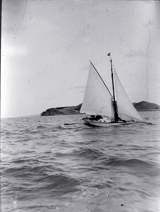 A small cutter (yacht) sailing across Wellington Harbour 