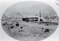 Saw mill at Pigeon Bay George Holmes' sawmill set up to cut timber under contract for the Lyttelton Tunnel.