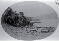 Holmes' wharf, Pigeon Bay, for timber being stacked for use in the Lyttelton Tunnel project 