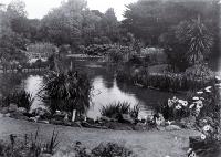 Lily pond in the Christchurch Botanic Gardens 