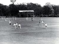 Two cricket matches under way in Hagley Park [ca. 1960]