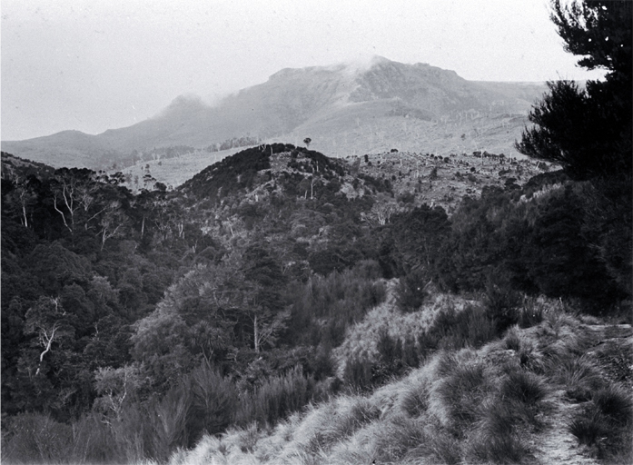 Mount Herbert from Summit track 