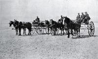 Horses and carriage at the Waiau River Bed, after crossing the stream from Cheviot, North Canterbury 
