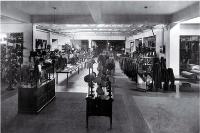 Interior of T.J. Armstrong & Co., drapers, corner of Colombo and Armagh Streets 
