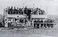 The grandstand on race day between Waitangi and Te One 