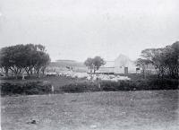 A wool shed, possibly on the Ritchie farm near Kaingaroa 