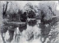 A charming view on the Avon, near the Exhibition