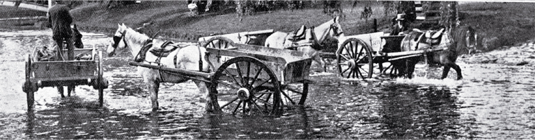 Delivery carts with horses being watered at the Avon River near the Victoria Street bridge, Christchurch 