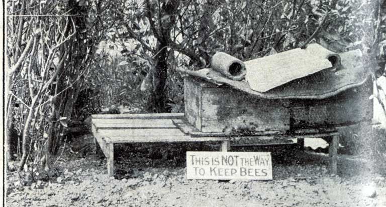 A condemned system of bee-keeping.