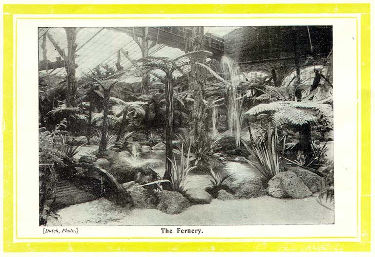 The Fernery