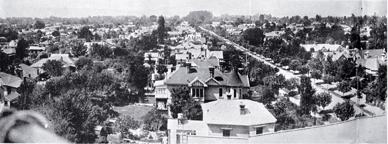 Half of a panorama of Merivale and St. Albans from the spire of the St. Albans Methodist Church, Rugby Street running through centre 
