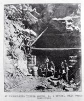 An uncompleted tunnel mouth near Staircase Gully, West Coast, 1901