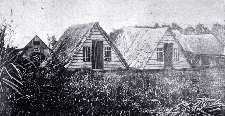Settlers' V huts at Riccarton