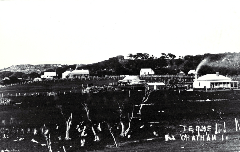 Homesteads and the church hall at Te One 