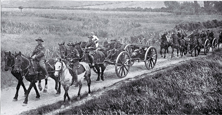 Horse-drawn gun teams of the 9th Battery hauling 18 pounders on the move at the annual artillerymen's camp at Sandown, near Sheffield 